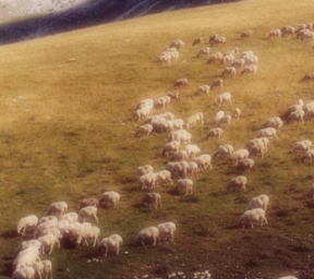 I prodotti dalla Natura