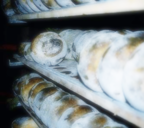 Il lungo processo dei nostri prodotti Il lungo processo dei nostri prodotti